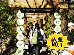 -大岭沟猕猴桃谷风景区