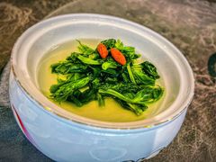 松茸高山豆苗-新光酒家·河豚·海鲜·蟹料理(浦东店)