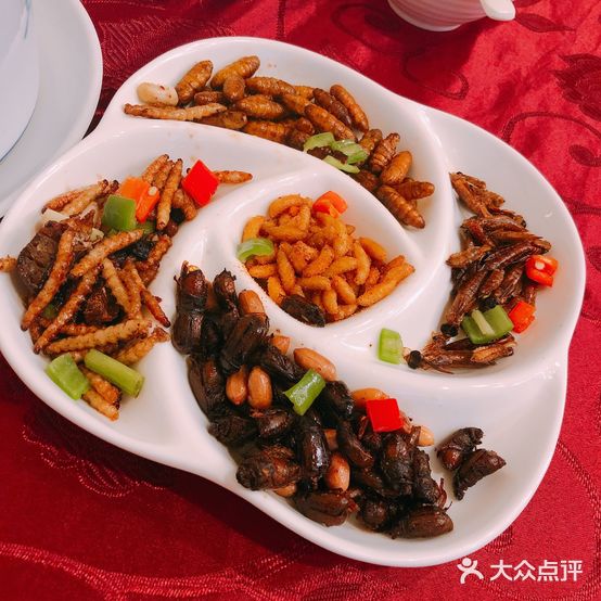 了能菜·粤菜饮·昆虫宴