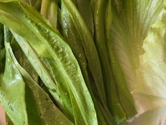 -南门四季铜锅涮肉(大屯·北苑店)