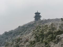 -杭州半山国家森林公园