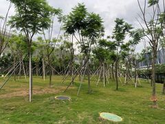 -深圳大学(丽湖校区)