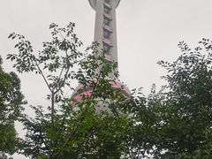 -东方明珠广播电视塔