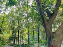 -成都市活水公园