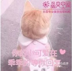 -晶奕空间专业脱毛连锁机构