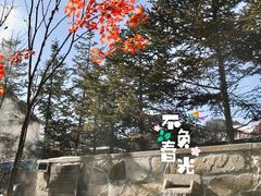 -汉拿山温泉度假酒店