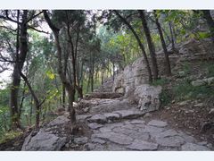 -腊山国家森林公园