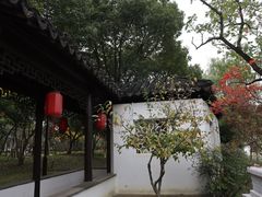 -枫桥景区