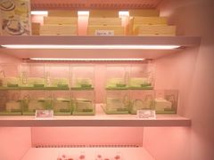 -好利来(桂林路店)