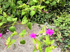 -敬亭山风景名胜区