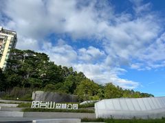 -阳台山森林公园
