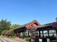 -济南大明湖景区