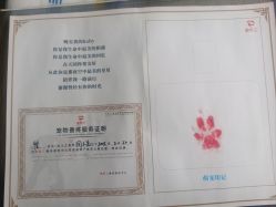 -成都市妇女儿童中心医院(中心院区)