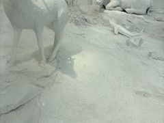 -中国湿地博物馆