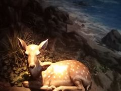 -嘉定博物馆