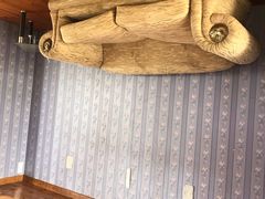 -金山农民画村-枫泾波兰倒置屋