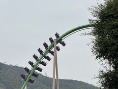 -珠海长隆海洋王国-鹦鹉过山车