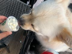 -星巴克(珠海仁恒滨海中心店)