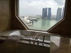 iphone_upload_pic-新加坡丽思卡尔顿美年酒店