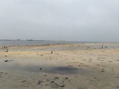 -北海金海湾红树林生态旅游区