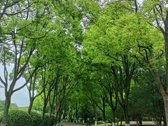-上海鲜花港