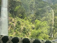 -大鄣山卧龙谷景区