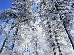-亚布力新体委滑雪场