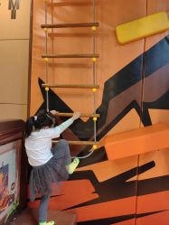 -卡通尼·Safari非洲探索乐园·生日会(金桥国际商业广场店)