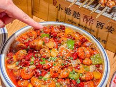 -福苗小骆驼烧烤(莲湖路店)