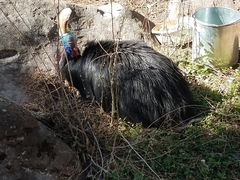 -昆明动物园
