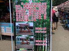 -日照海滨国家森林公园