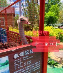 -萌宠亲子动物乐园(槐房万达店)