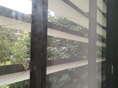 -吴记杭州私房面