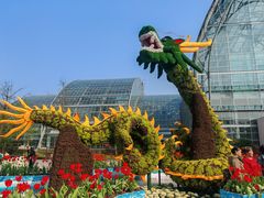 -南山植物园