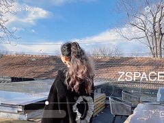 -自如ZSPACE四合院艺术餐厅