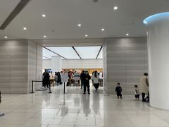 -Apple零售店(济南恒隆广场店)