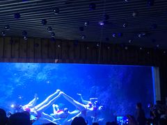 -左海海底世界
