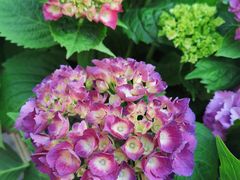 -中国工商银行(上海市徐汇支行华山路支行)