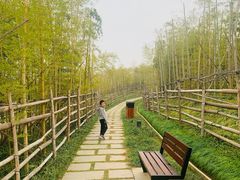 -桐乡凤凰湖