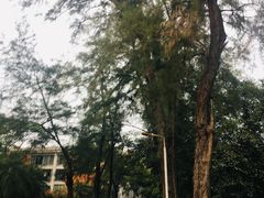 -广东外语外贸大学(白云山校区)