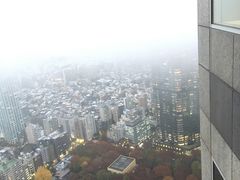 -东京都厅舍