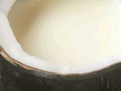 -志龙皇冠吃货椰子铺