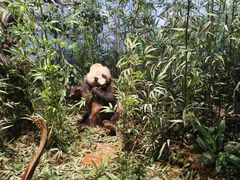 -陕西自然博物馆