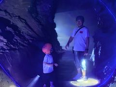 -地心探险极地