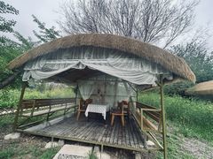 -梁鸿国家湿地公园