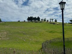 -小麦岛公园