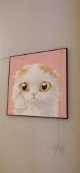 -洗脸猫·洗脸吧