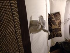 曼谷安娜塔拉河畔水疗度假村-阿瓦尼河滨曼谷酒店