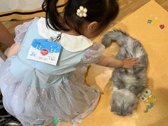 -COLOR PETS 撸猫馆·购猫·猫咖(长风大悦城店)