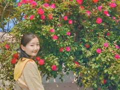 -文化名人故居一条街